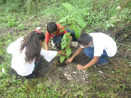 Kids Planting